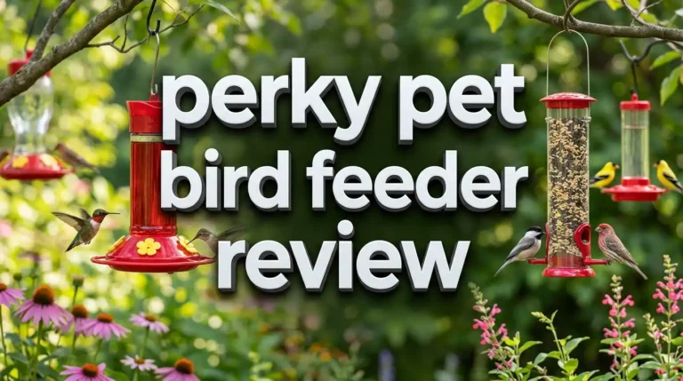 Perky Pet Bird Feeder Review 2026: Worth Your Money?