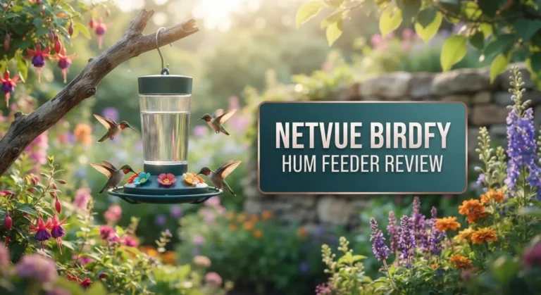 Netvue Birdfy Hummingbird Feeder Review: Is It Worth The Hype?